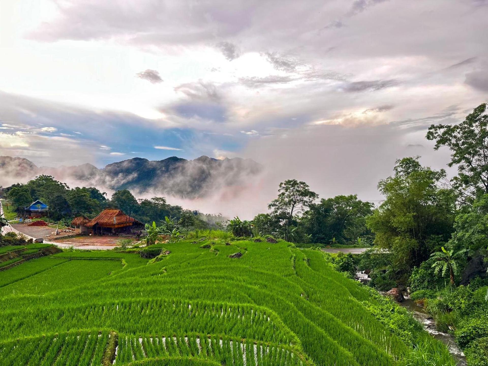 Pu Luong Jungle Lodge Exterior photo