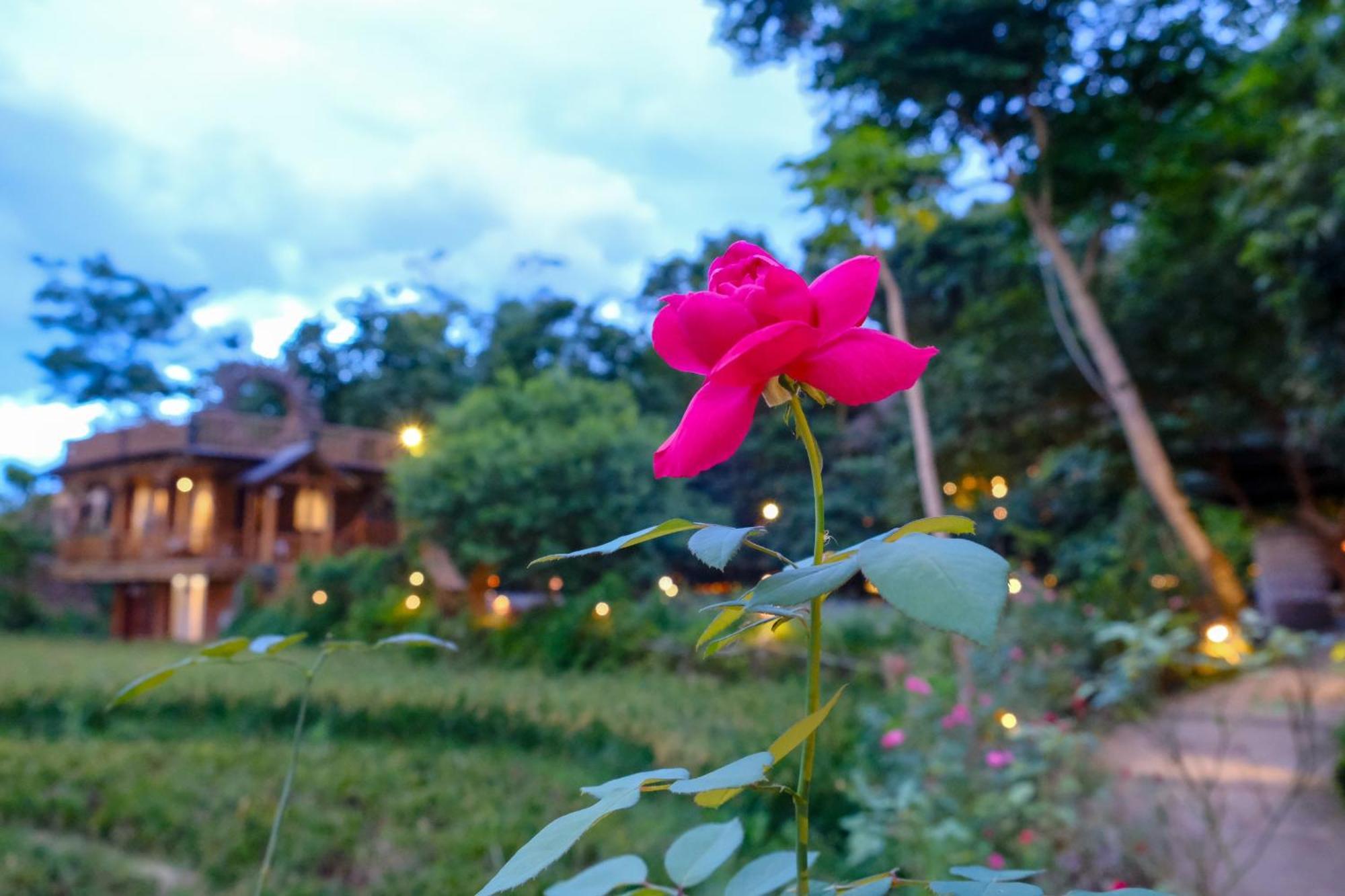 Pu Luong Jungle Lodge Exterior photo